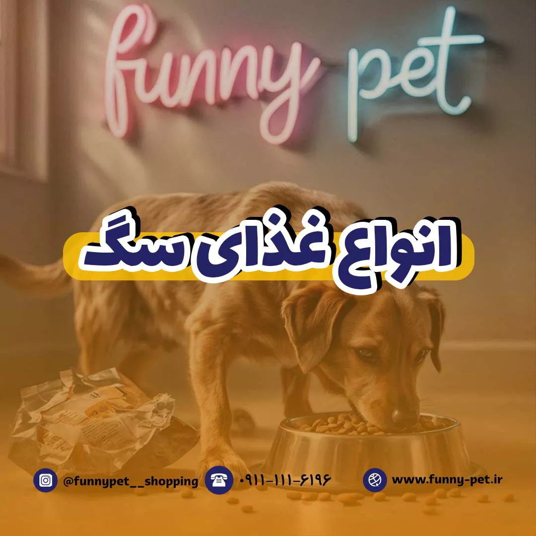 غذای سگ