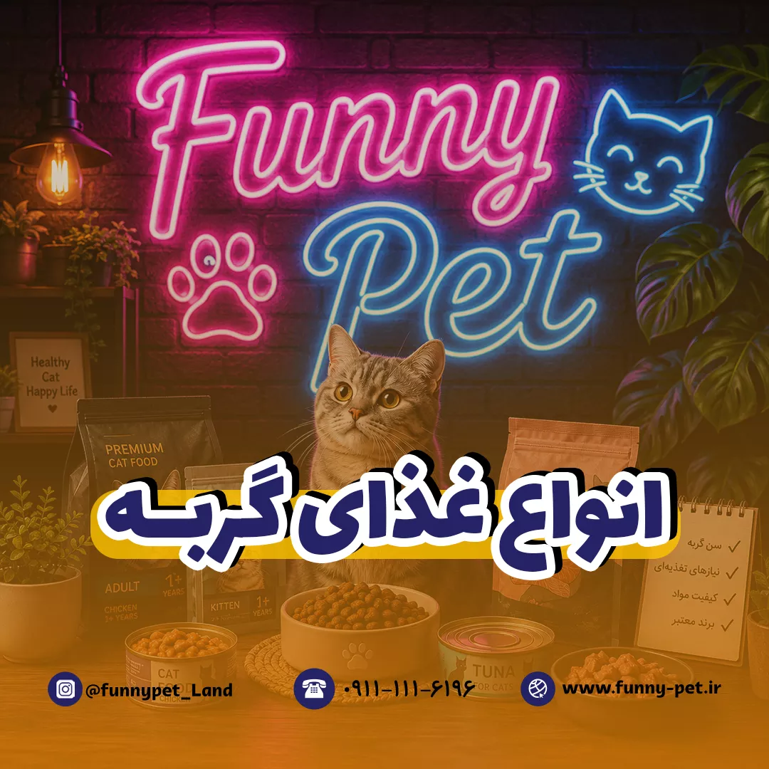 غذای گربه